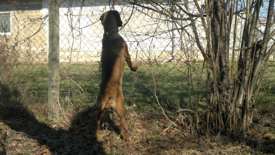 asan,ma prehlad aj u susedov