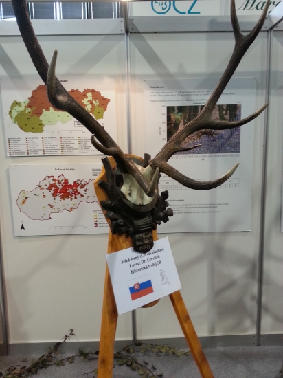 Historicka trofej.SK ,,,Nitra