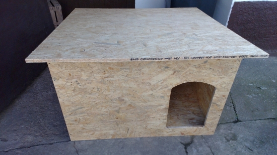 Asanova nova buda,,,