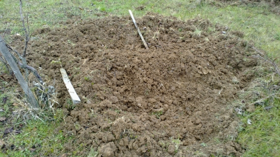 Diviaky zauradovali na Vinici