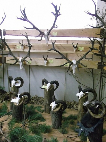 Levice Polovnicke dni.posledna foto.