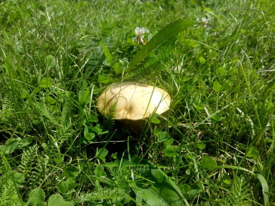 Aspon niečo,,,