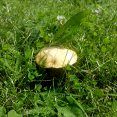 Aspon niečo,,,