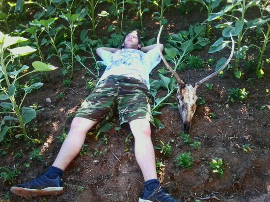 Dva úhyny vedľa seba :D