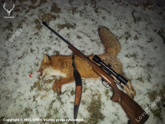 Lišiak vs. Hornet