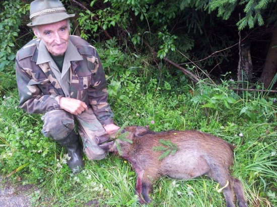 Diviača