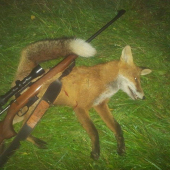 Lisiak vz hornet