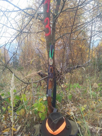 BBF 95 lux na štande