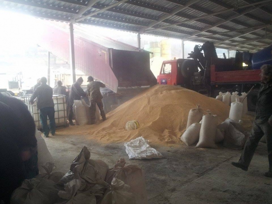 Priprava krmiva na zimu cca 25t.