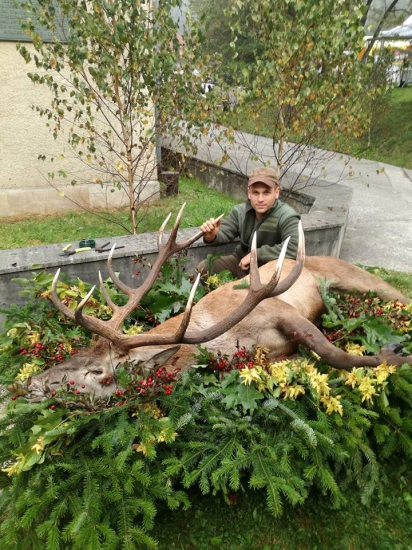 zdobenie jelena na obetu