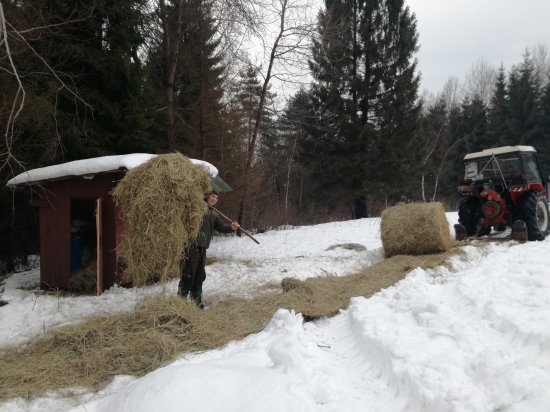 Zima ešte nepovedala posledné slovo.