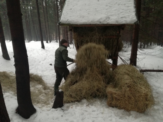 Hádam to ani nevojde....