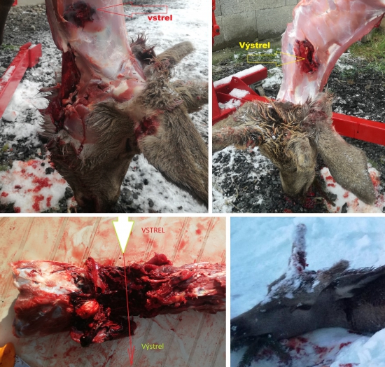 HORNADY Interlock RN 14,26g-308W