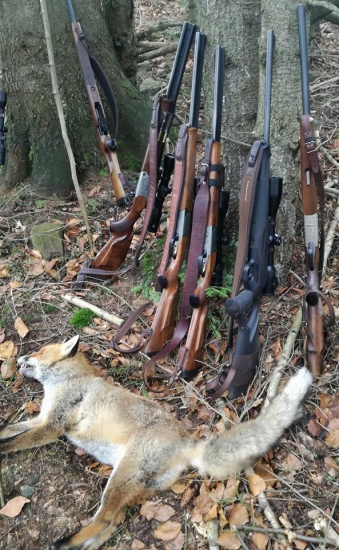 Päť X Blaser