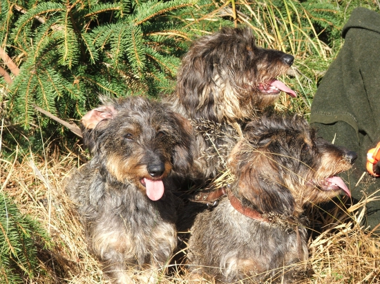 To je ale horúčava