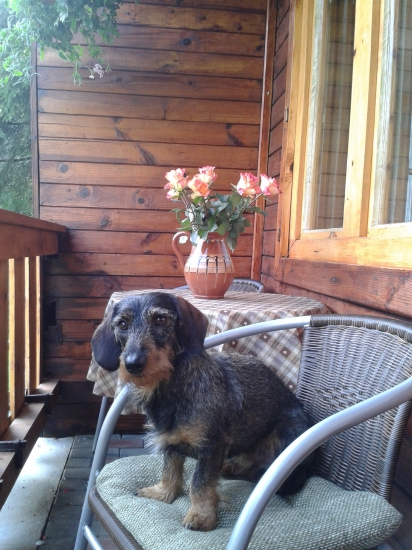 To som ja Emo - nerád rušený