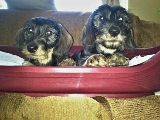 To som ja v ľavo - s bratom