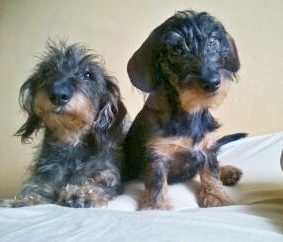 Tá strapaňa to je moja mama