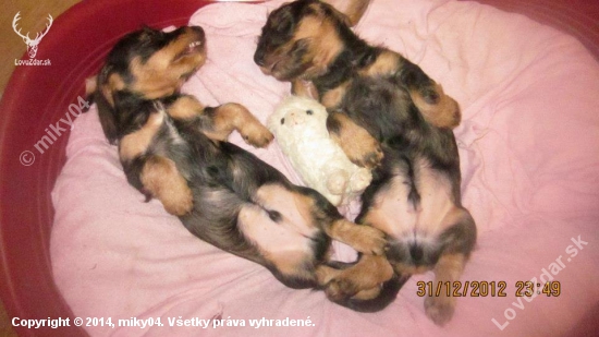 A že vraj len dievčence takto spávajú....)))