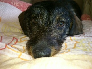 Nerušte ma....teraz rozmýšľam