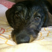 Nerušte ma....teraz rozmýšľam