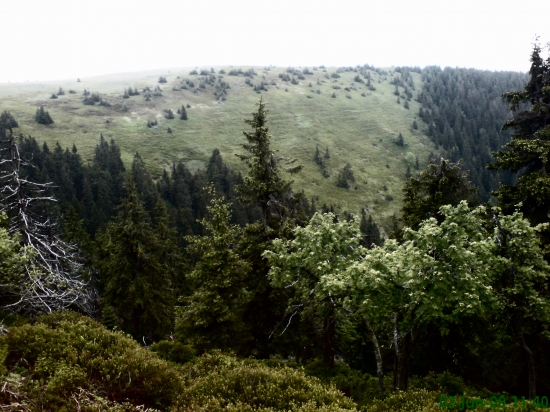 Najkrajsie rujovisko - Laviňák
