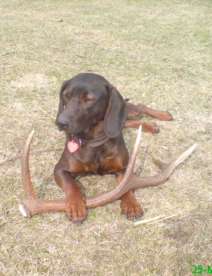 Modelka pri svojom naleze