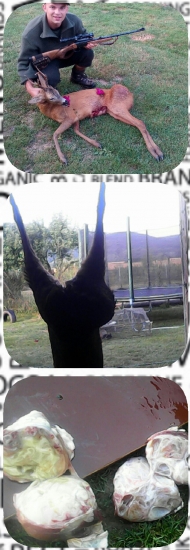 srnec s nadorom na stehne