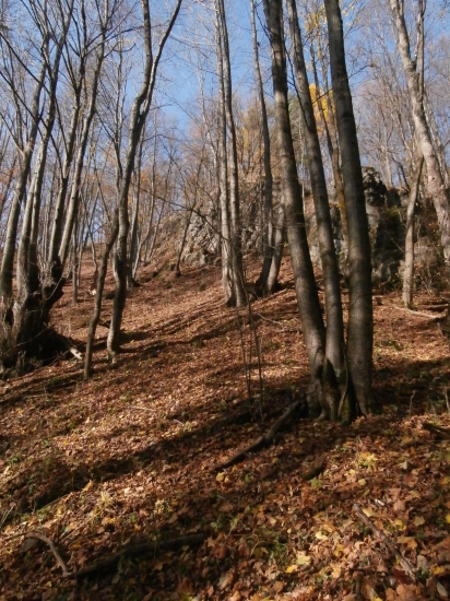 Pod skalou