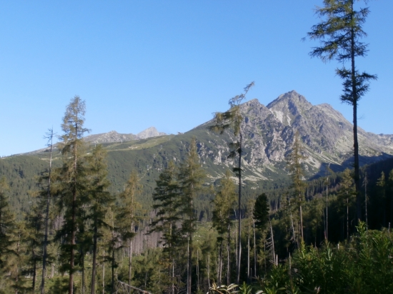 Mlynická