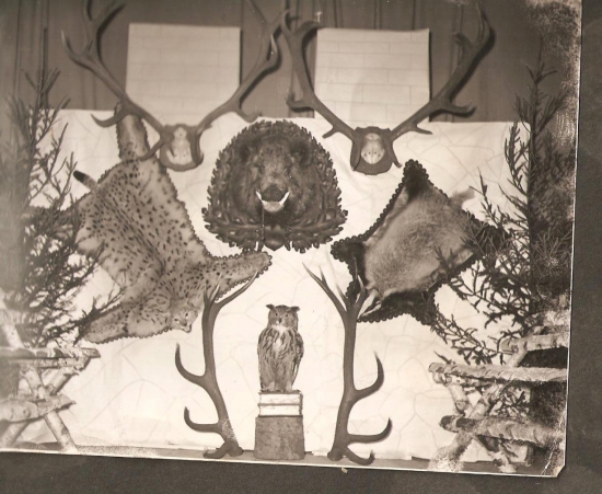 trofeje môjho starkého