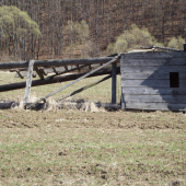 čudná gravitácia :D