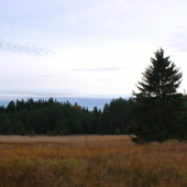 Čas, kdy hnědne Vyšočina