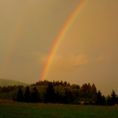 pravá Liptovská dúha z lesa :)