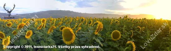 za slnkom...