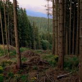 miesto kde si človek oddýchne od dnešnej uponáhlanej doby ...