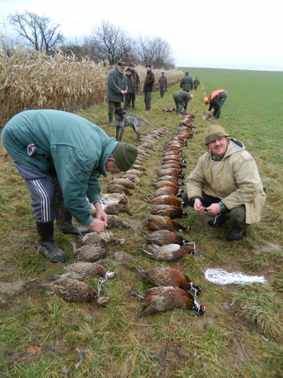 príprava výlože po leči...