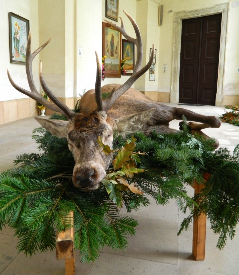 obetný dar na Svätohubertskej omši v Křtinách