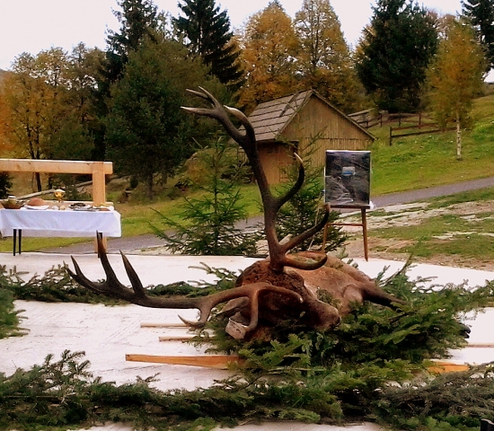 Jeleň zo Sv. Hubertskej omše na LT
