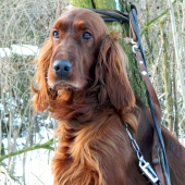 Zuzi