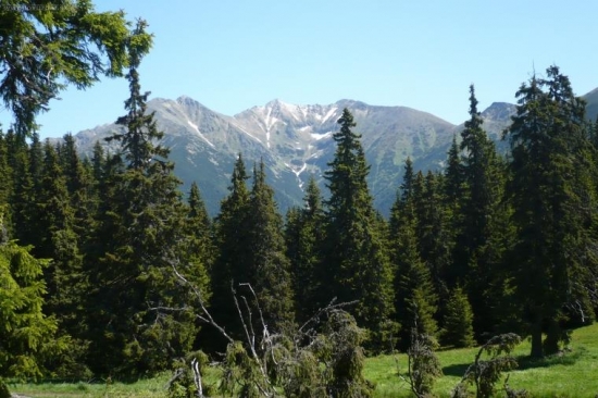 Liptovské hole