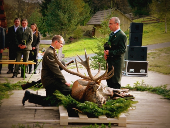 pasovanie za lovca jeleňov