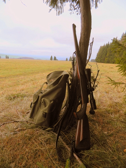 Štand pri borievke ...