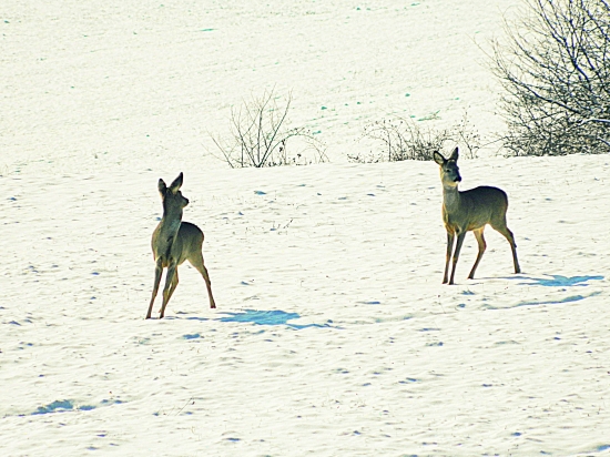 brácho tak už poď :)