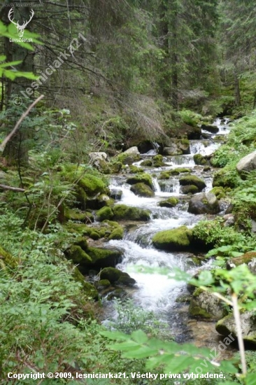 Jalovčianka