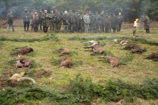 Výrad po spoločnej polovačke