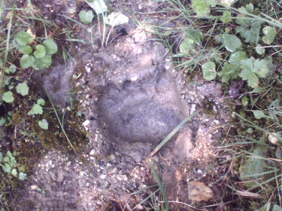taký 