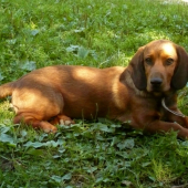 Benny