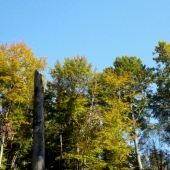 krásne farby jesene