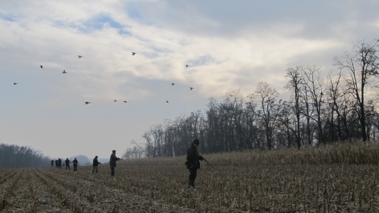 páni strelci už to letí :)